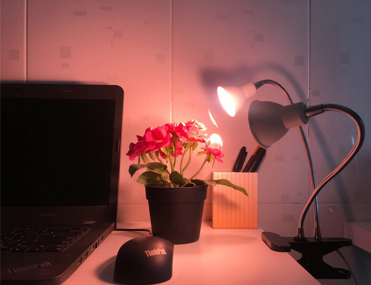 14W LED Grow Light, New Dual Head Desk Clip Lamp Warm White Light with Swivel 360 Degree Adjustable Gooseneck and One Switch, Warmwhite Comfortable Light for Indoor Plants at Home and Office