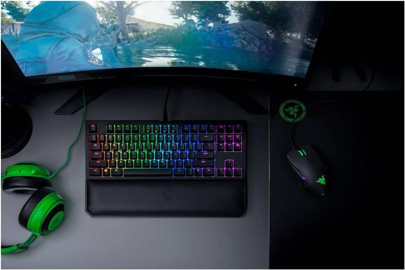 Blackwidow TE Chroma V2 TKL Tenkeyless Mechanical Gaming Keyboard: Orange Key Switches, Tactile & Silent, Chroma RGB Lighting, Magnetic Wrist Rest, Programmable Macros, Classic Black