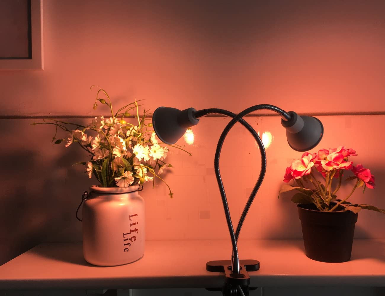 14W LED Grow Light, New Dual Head Desk Clip Lamp Warm White Light with Swivel 360 Degree Adjustable Gooseneck and One Switch, Warmwhite Comfortable Light for Indoor Plants at Home and Office